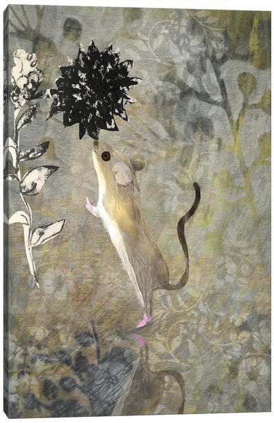 Mouse Canvas Art Print - Claire Westwood