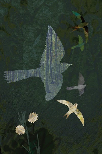 Doves & Pigeons: Peace by Claire Westwood