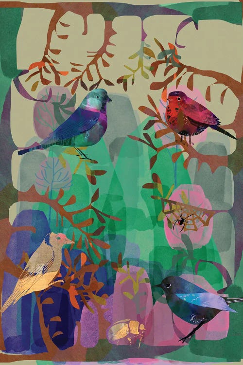 Birds A Many