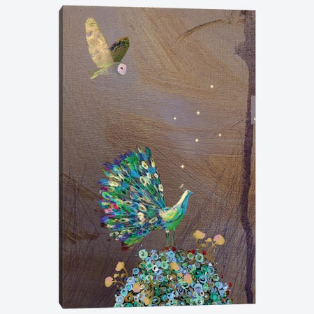 Peacock Canvas Print #CWW50} by Claire Westwood Art Print