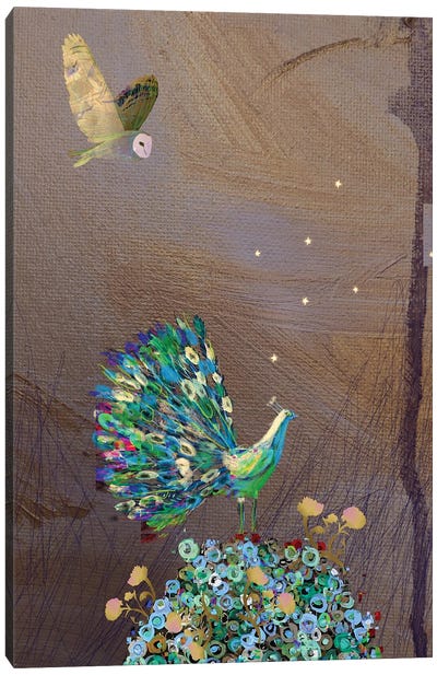 Peacock Canvas Art Print - Claire Westwood