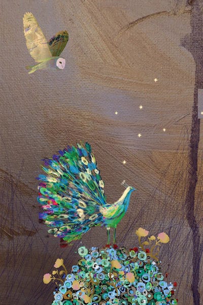 Peacocks: Peacock by Claire Westwood