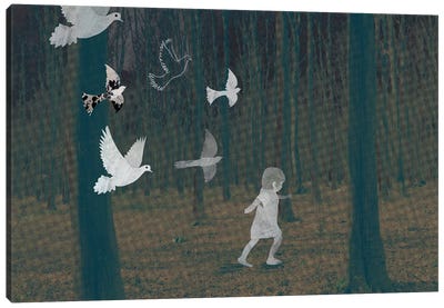 Search Canvas Art Print - Dove & Pigeon Art