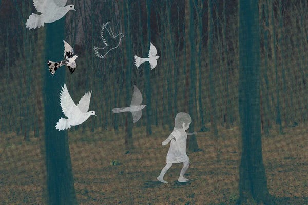 Creativity: Search by Claire Westwood