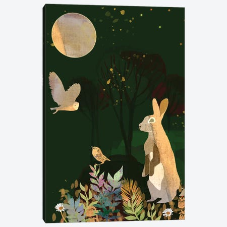 Spring Moon Canvas Print #CWW65} by Claire Westwood Canvas Print