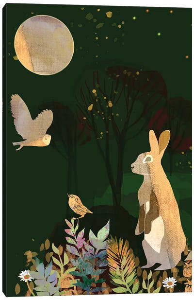 Spring Moon Canvas Art Print - Claire Westwood