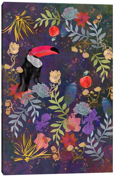 Toucan Canvas Art Print - Claire Westwood