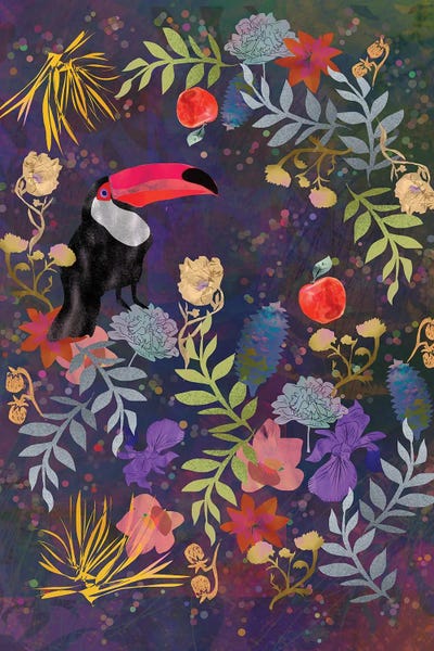 Claire Westwood: Toucan by Claire Westwood