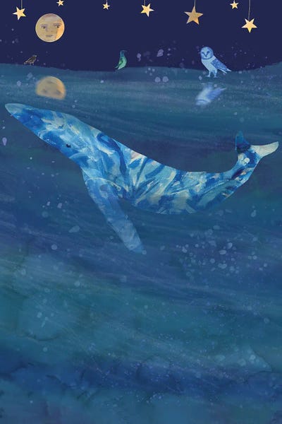 Whales: Under The Sea by Claire Westwood