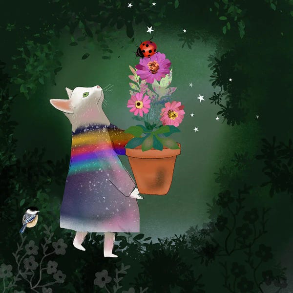 Claire Westwood: White Cat by Claire Westwood