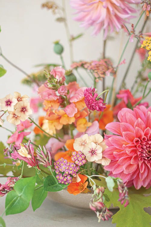 Fruity Colored Blooms