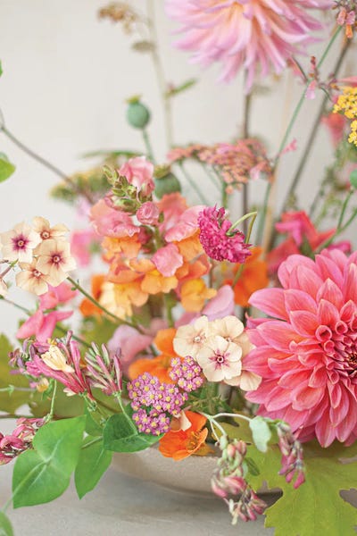 Cornelia Weber: Fruity Colored Blooms by Cornelia Weber