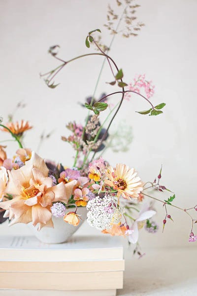 Cornelia Weber: Julia's Rose by Cornelia Weber