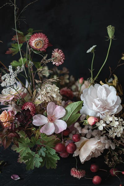Fine Art Print: October Roses by Cornelia Weber