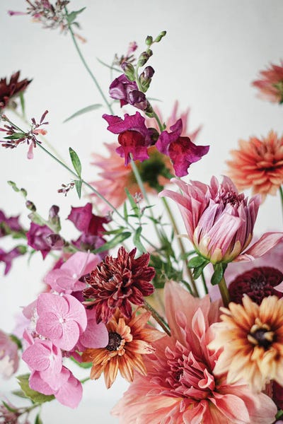 Cornelia Weber: Red Snapdragon by Cornelia Weber