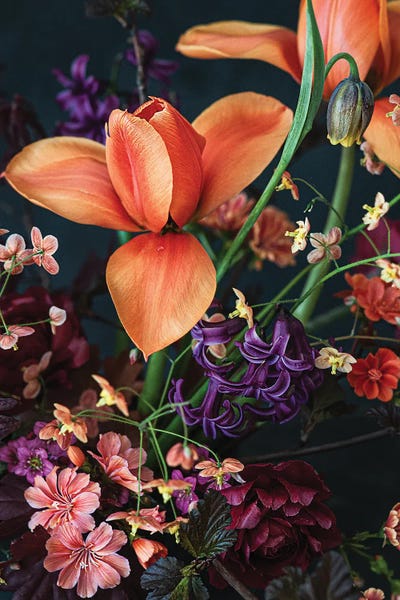 Cornelia Weber: Spring's First Tulips by Cornelia Weber