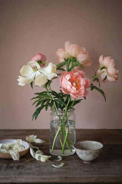 Cornelia Weber: Coral Charm Peonies by Cornelia Weber