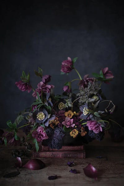 Cornelia Weber: Hellebores And Kale by Cornelia Weber
