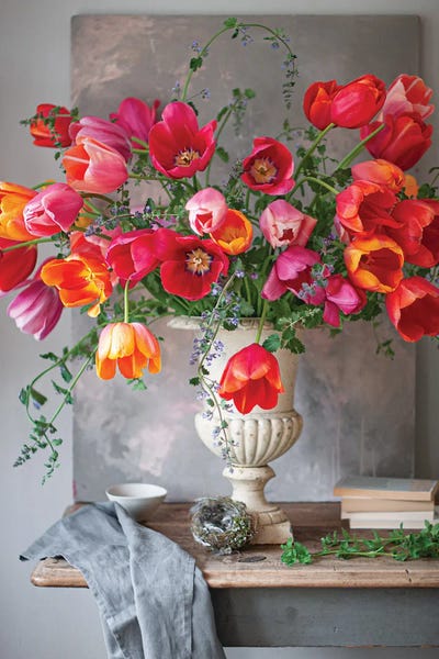 French Tulips by Cornelia Weber art print