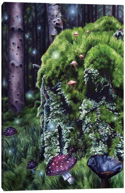 Hidden Realms Canvas Art Print - Green Art