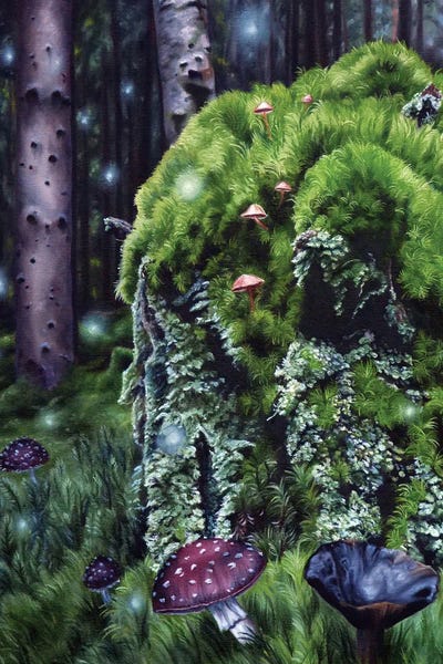 Illuminated Dreamscapes: Hidden Realms by Christina Ridgeway