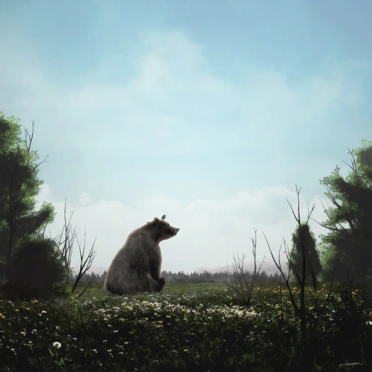 Little Bear