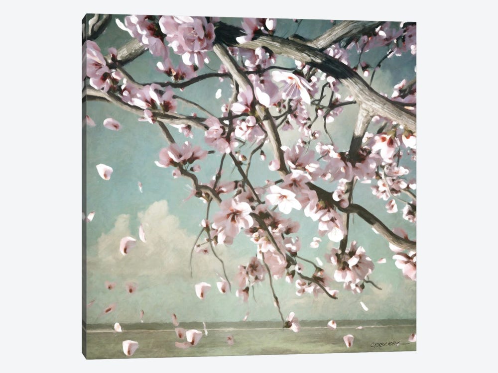 Cherry Blossoms by Cynthia Decker 1-piece Canvas Art Print