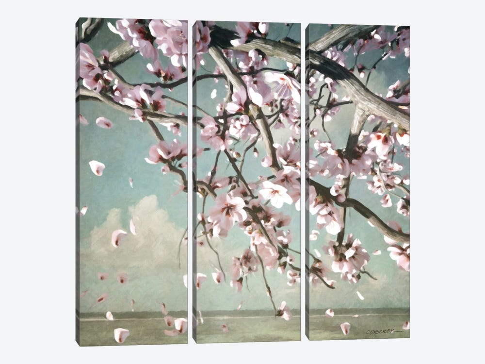 Cherry Blossoms by Cynthia Decker 3-piece Canvas Art Print