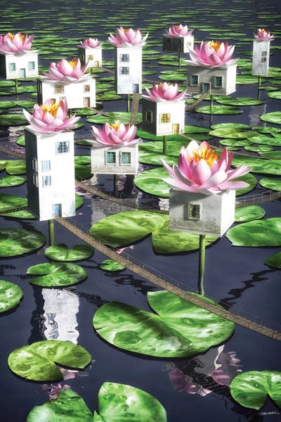 Water Lilies: Connections by Cynthia Decker