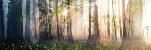 Mesmerizing Digital Artists: Constancy by Cynthia Decker