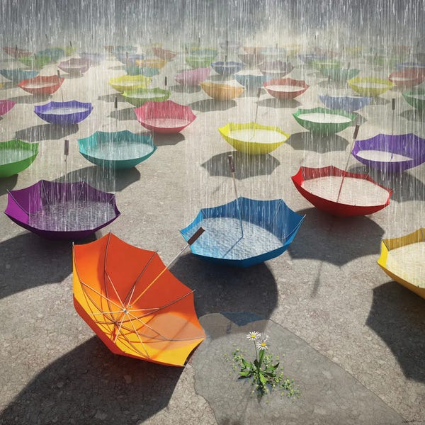 Cynthia Decker: Downpour by Cynthia Decker