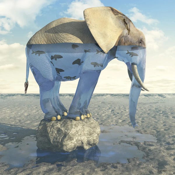 Cynthia Decker: Drinking Problem by Cynthia Decker