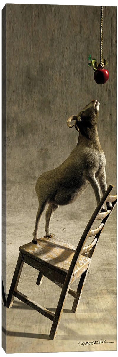 Equilibrium I Canvas Art Print - Goat Art