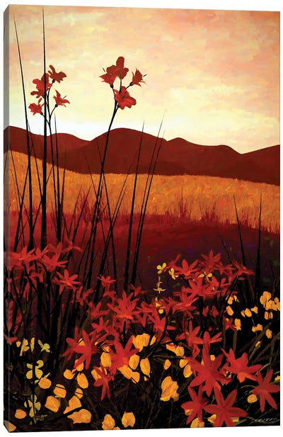 Field Of Flowers Canvas Art Print - Cynthia Decker