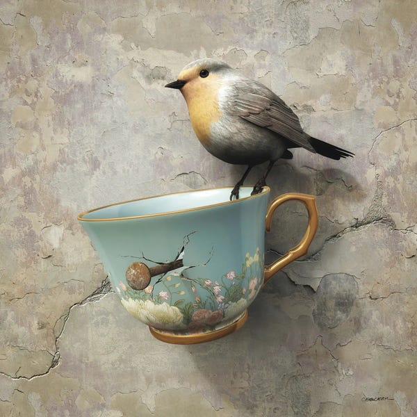 Reclaimed By Nature: Fragility by Cynthia Decker