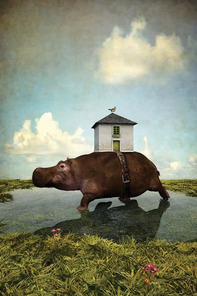 House Hippo by Cynthia Decker art print
