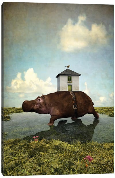 House Hippo Canvas Art Print - Hippopotamus Art