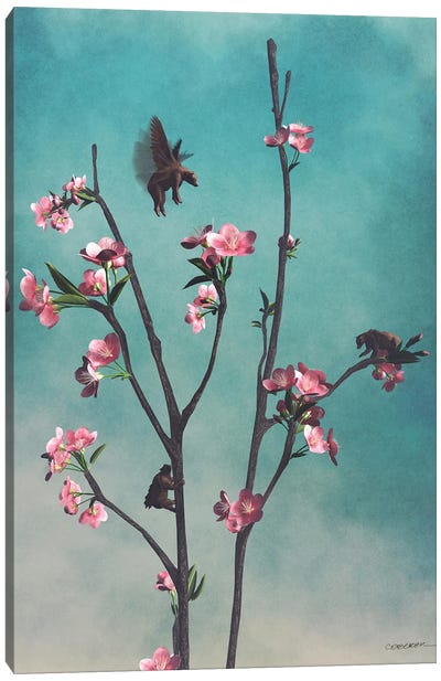 Hummingbears Canvas Art Print - Cynthia Decker