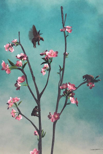 Cynthia Decker: Hummingbears by Cynthia Decker
