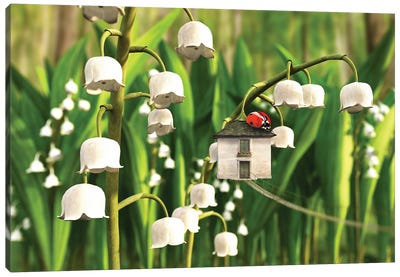 Lily Of The Valley Canvas Art Print - Miniature Worlds