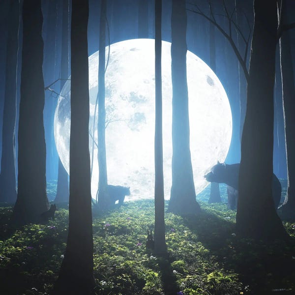 Cynthia Decker: Moon Landing by Cynthia Decker