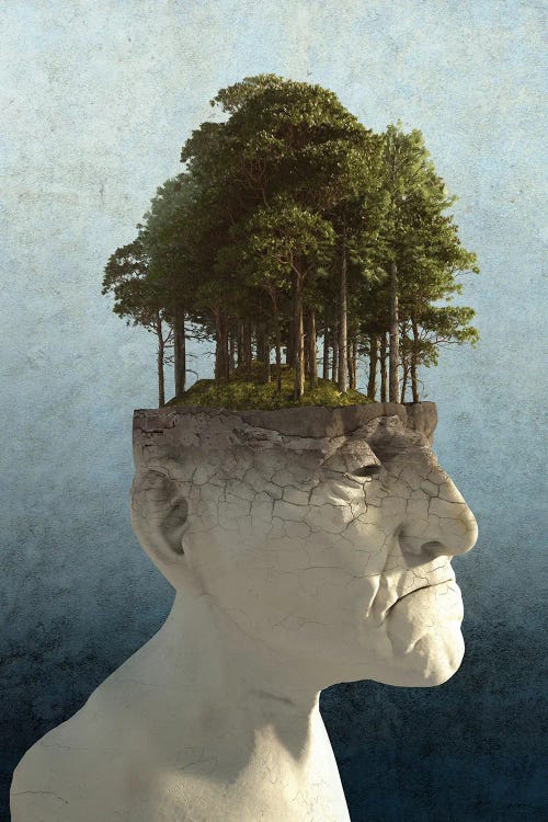 Personal Growth by Cynthia Decker wall art