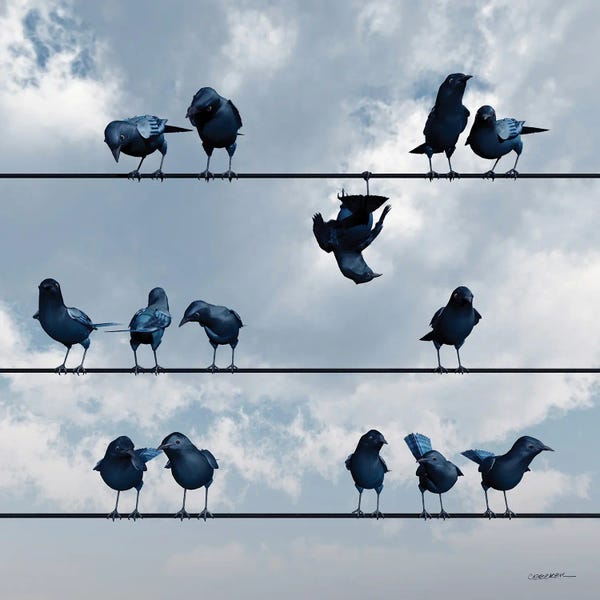 Showoff