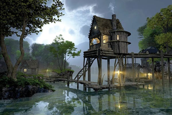 Marshes & Swamps: Stillwater by Cynthia Decker