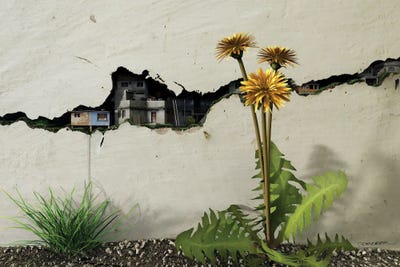 Between The Cracks by Cynthia Decker canvas print