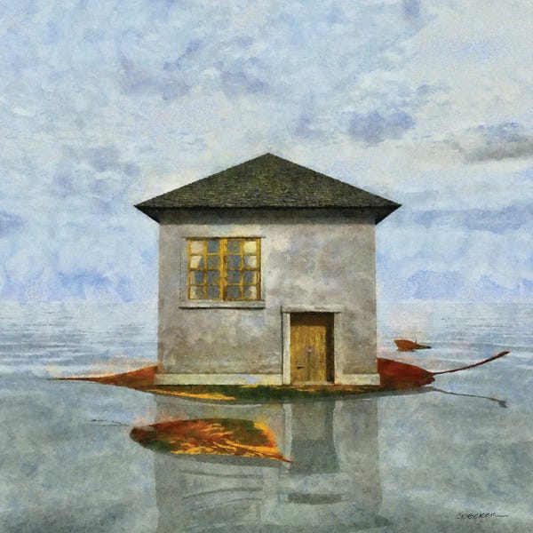 Ponds: Tiny House V by Cynthia Decker