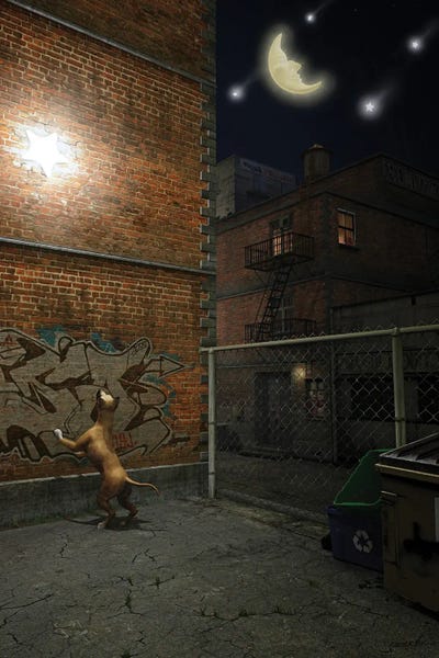 When Stars Fall In The City