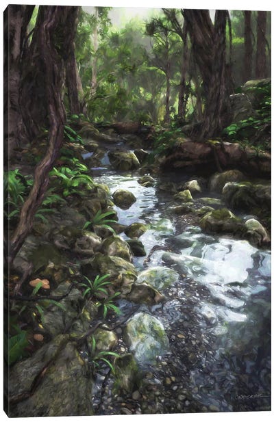 Woodland Stream Canvas Art Print - Zen Garden