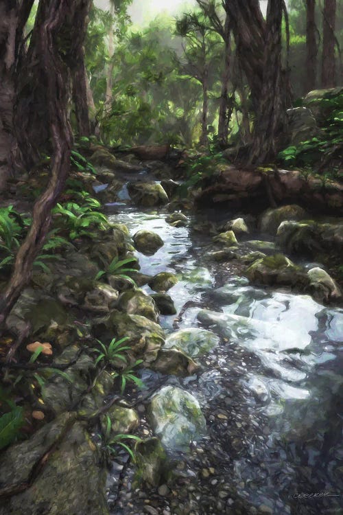 Woodland Stream by Cynthia Decker wall art