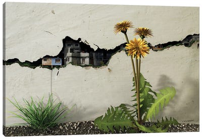 Between The Cracks Canvas Art Print - Reclaimed by Nature